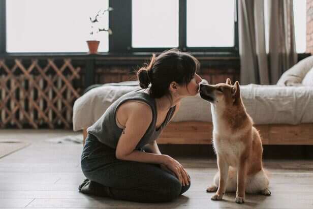 Dog and his owner