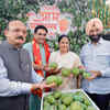 Delhi inaugurates 35th Aam Mahotsav showcasing over 400 mango varieties