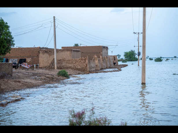Monsoon Floods Are A Hidden Breeding Ground of Mosquitos