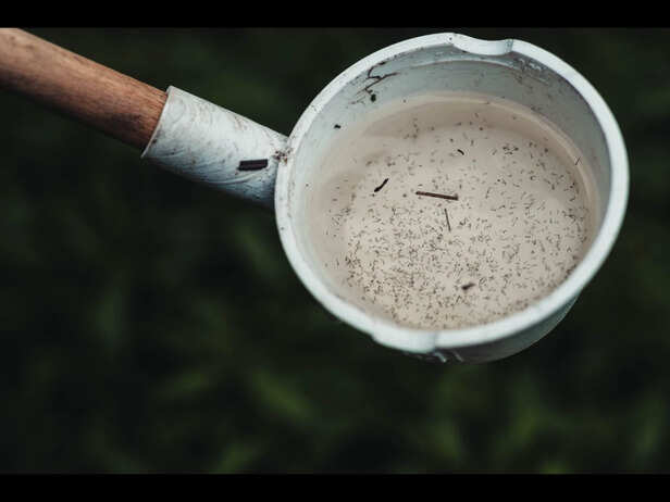 Mosquito Breeding Hotspots You Should Eliminate