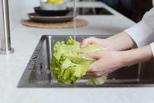 Washing Lettuce