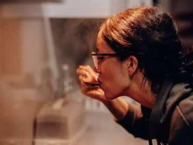 By the time the food reaches your plate, you have already spent several minutes or even hours thinking about it
