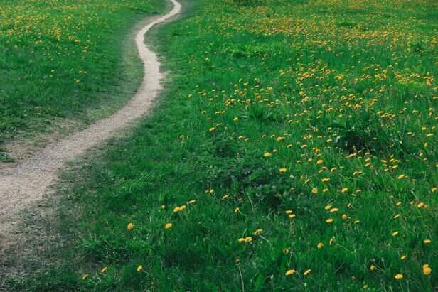 Right path