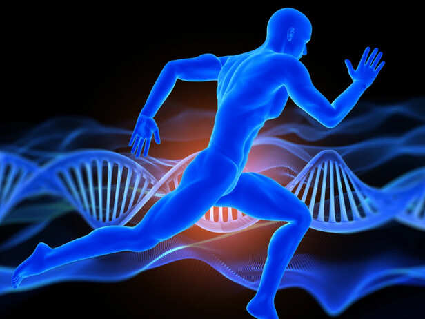 Recovery Runs on Protein, Not Just Rest