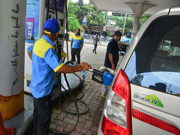 Govt says no assessment done on number of vehicles in country fully compatible with E20 fuel
