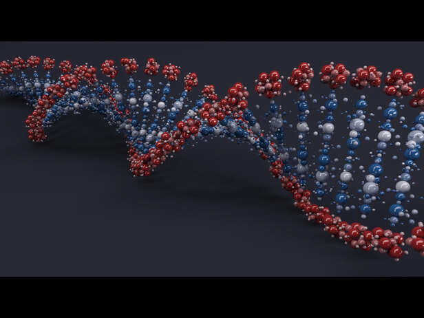 The Science Behind Salmon DNA Treatments