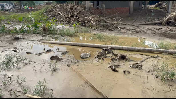 तबाही के बाद का मंजर