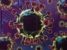 Chandipura Virus: Symptoms, Causes and Prevention Guide