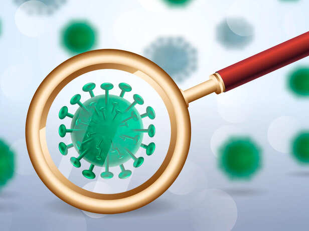 Chandipura Virus 