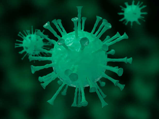 Chandipura Virus Spreads