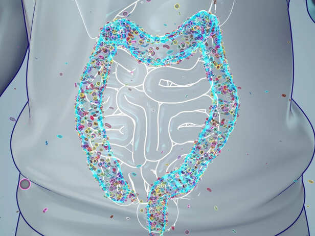 Your Gut Bacteria Decide How Food Sits With You