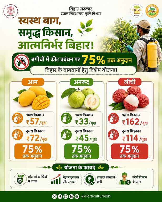 बाग में कीटों से फसल बचाना होगा सस्ता