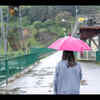 Damp Monsoon Environment