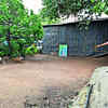 Ghatkopar ground: Saved by court, let down by BMC