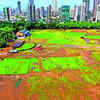 Who gets Shivaji Park?