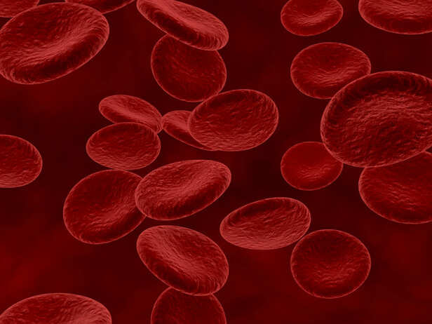 Red blood cells