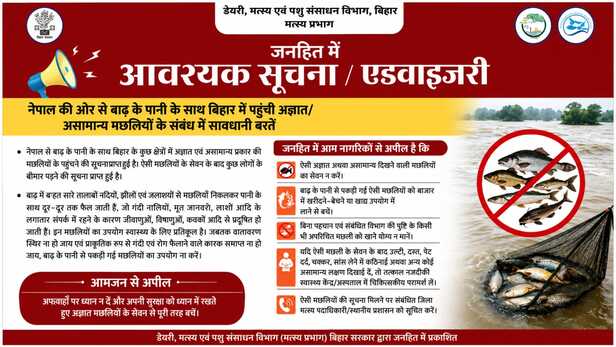 बिहार सरकार ने मछली खाने और बेचने दोनों से किया सावधान