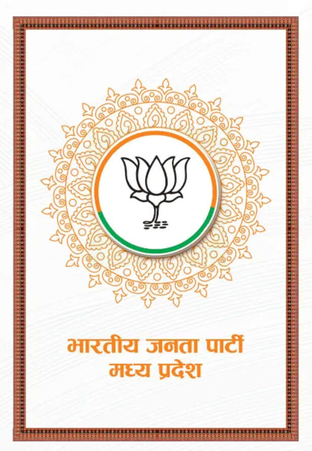 bjp sankalp patra 2.png