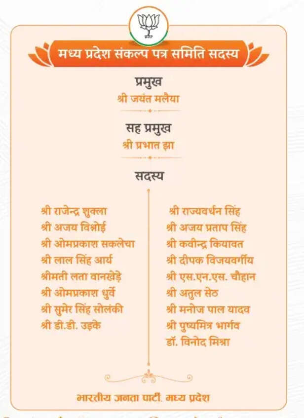 bjp sankalp patra 3.png