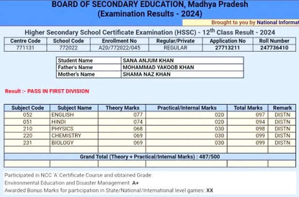 sana marksheet