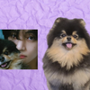 'Happiest birthday to the king of K-pup': ARMY remember BTS V's late dog Yeontan on his 9th birthday