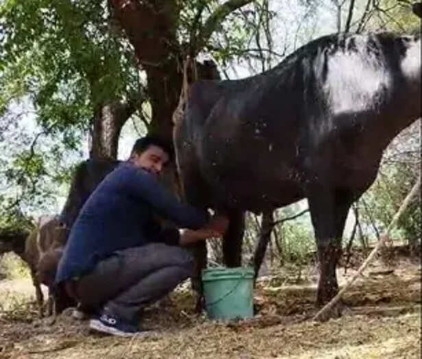 thesootr
