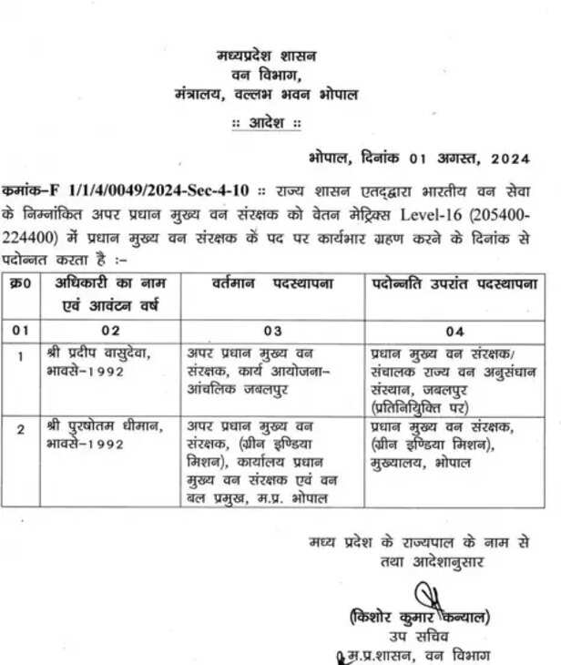 ््