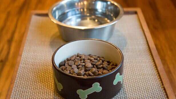 Food and water bowls
