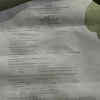 indore-petrol-bomb-attack-congress-office-case