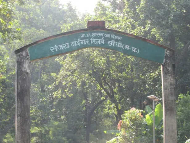 natureindiatours – Page 7 – Nature India