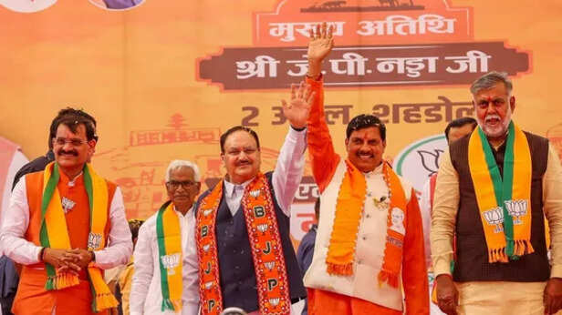 MP Lok Sabha Election Result 2024 VD Sharma BJP missed target of increasing  vote percentage ann | मध्य प्रदेश में बीजेपी ने सभी सीटों पर मारी बाजी,  लेकिन अपने इस टारगेट को