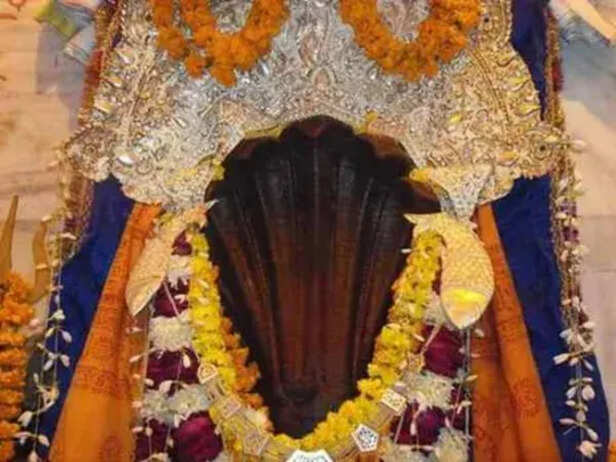 Prayagraj Visit the Nagvasuki temple on Nag Panchami, Kalsarp Dosh will be  removed | Nagvasuki Temple: नाग पंचमी पर महादेव के इस मंदिर में करें दर्शन,  दूर होगा कालसर्प दोष