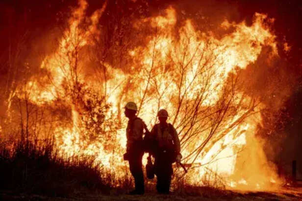 2cea8e1e-f50