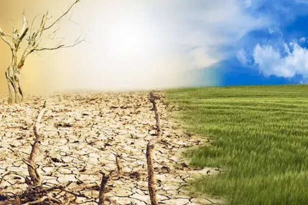 Personal Reflections on Environmental &amp; Climate Change Advocacy | Religious  Action Center of Reform Judaism