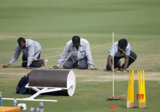cricket stafd