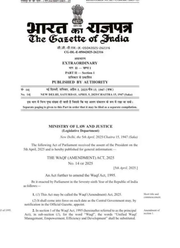 image-2025-04-06T074609.653-744x1024-438687