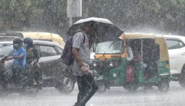 MP Weather Alert की ताज़ा खबरे हिन्दी में | ब्रेकिंग और लेटेस्ट न्यूज़ in  Hindi - Zee News Hindi