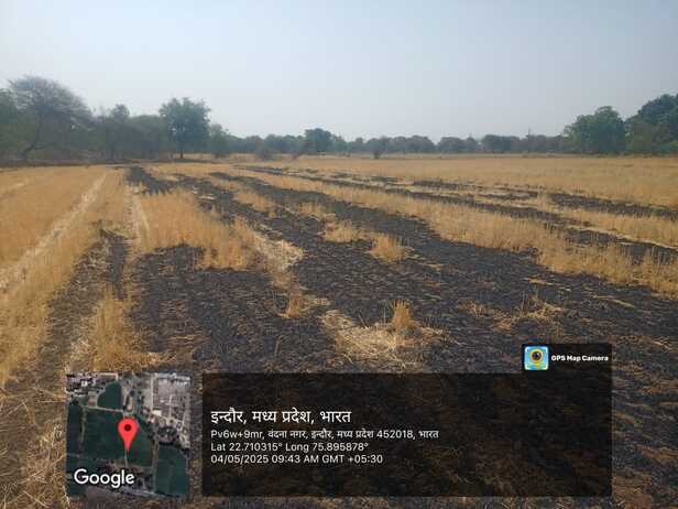 Indore parali 