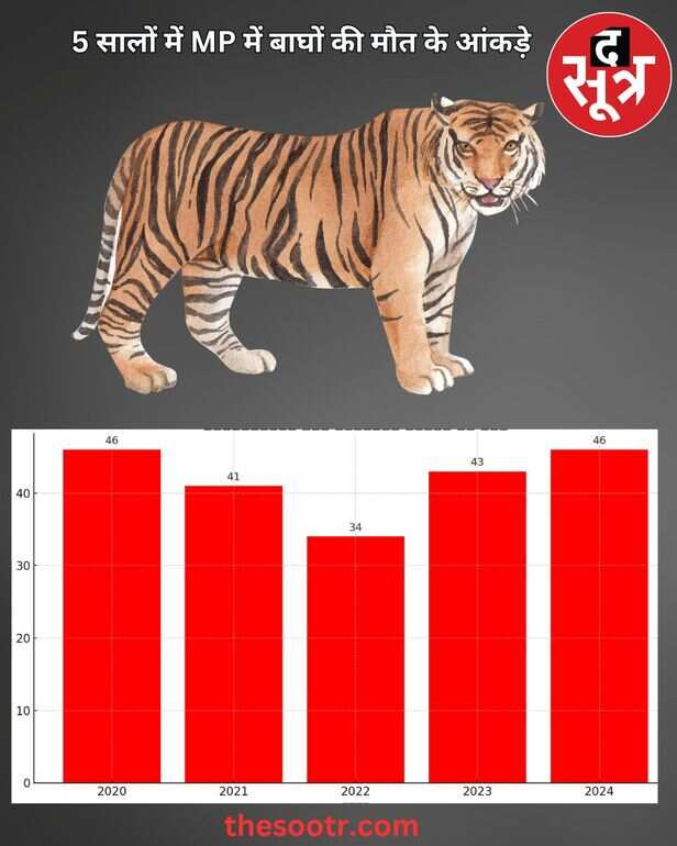 tiger die mp