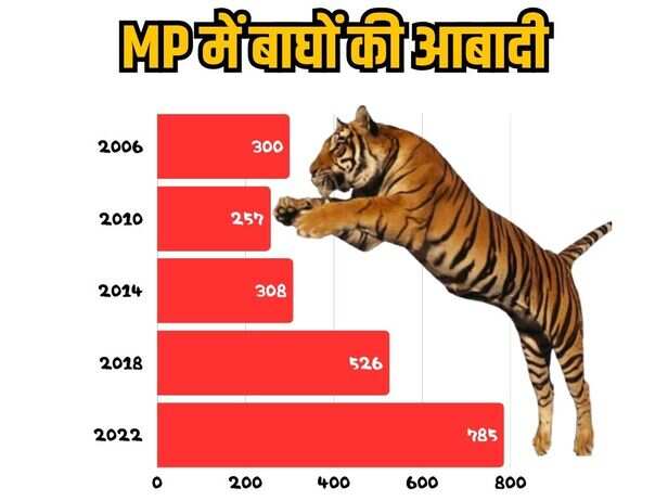 Tiger population in MP 