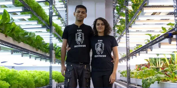 Untitled_designmumbai1551758582321-763164