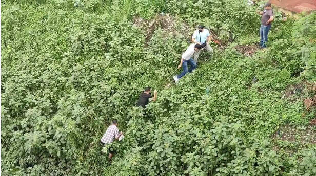 shilong 4