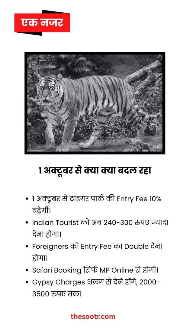 tiger safari