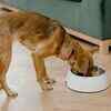 Make mealtime a brain game