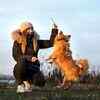 Use training and play to burn energy