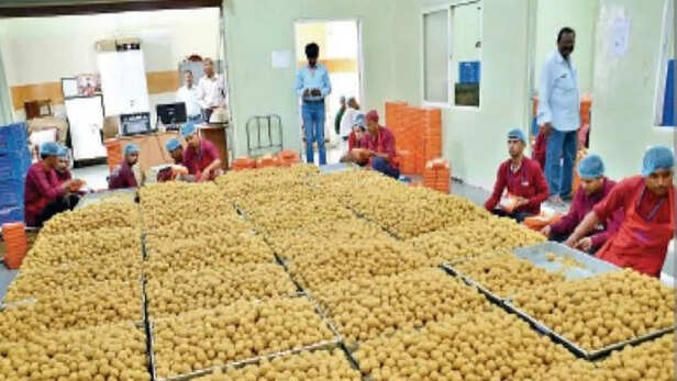 Ujjain New State-of-the-art Unit Will Be Ready Near Annkshetra For Mahakal  Temple Laddu Prasad - Amar Ujala Hindi News Live - Ujjain:महाकाल मंदिर  लड्डू प्रसाद के लिए अन्नक्षेत्र के पास अत्याधुनिक नई