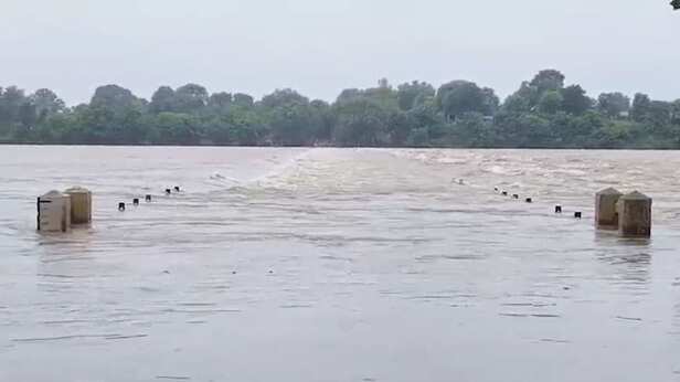 MP के रायसेन में उफान पर नर्मदा नदी... डूब गया बोरास पुल, रायसेन और  नरसिंहपुर के बीच संपर्क टूटा - mp raisen narmada river boras bridge  submerged traffic disrupted after heavy rain