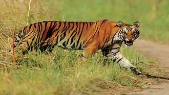 chhattisgarh1