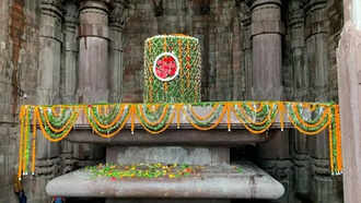 shivvv11