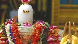 shivvv
